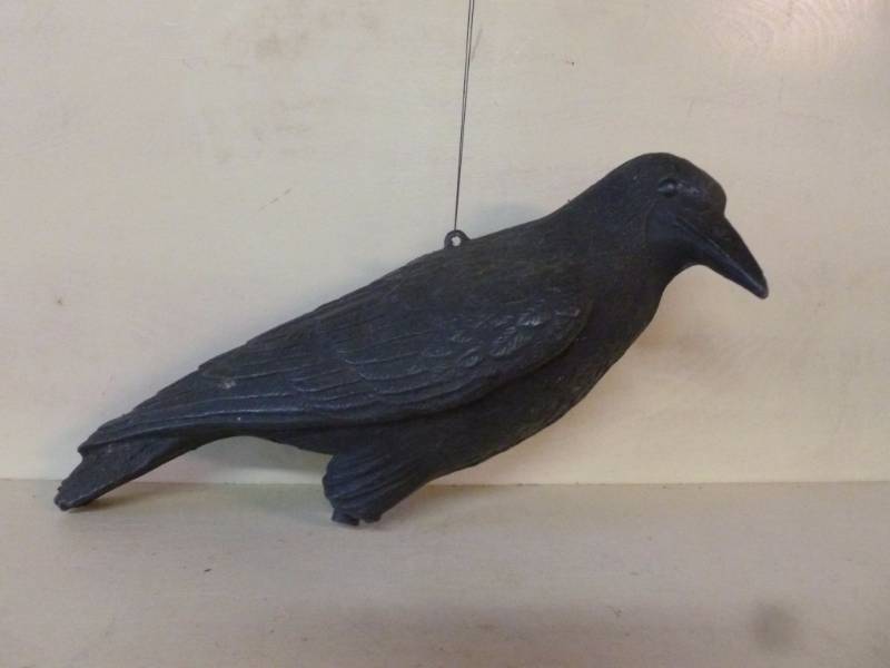 Crow Decoy