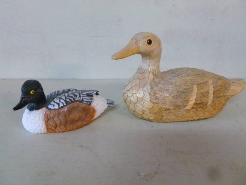 Duck Decorations