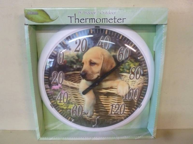 Thermometer