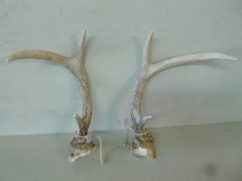 Rattling Antlers