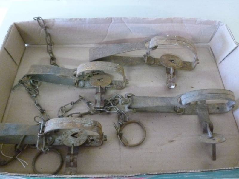 Vintage Traps