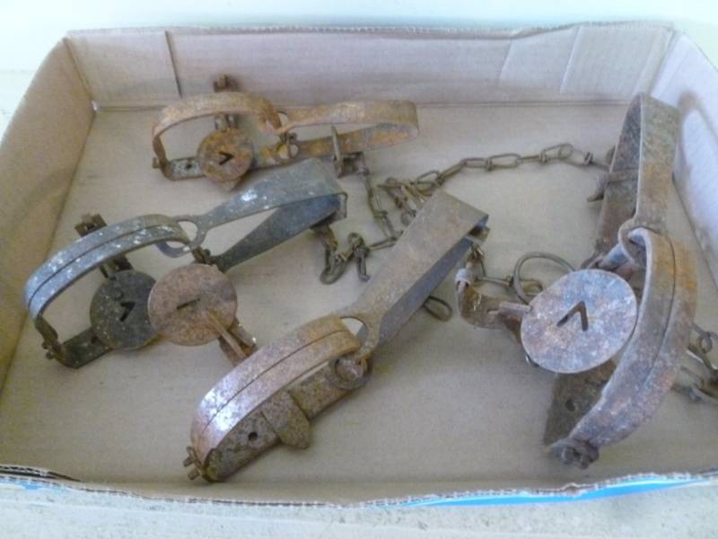 Vintage Traps