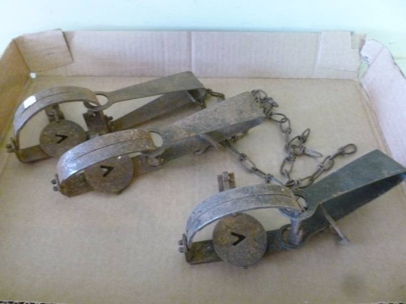 Vintage Traps