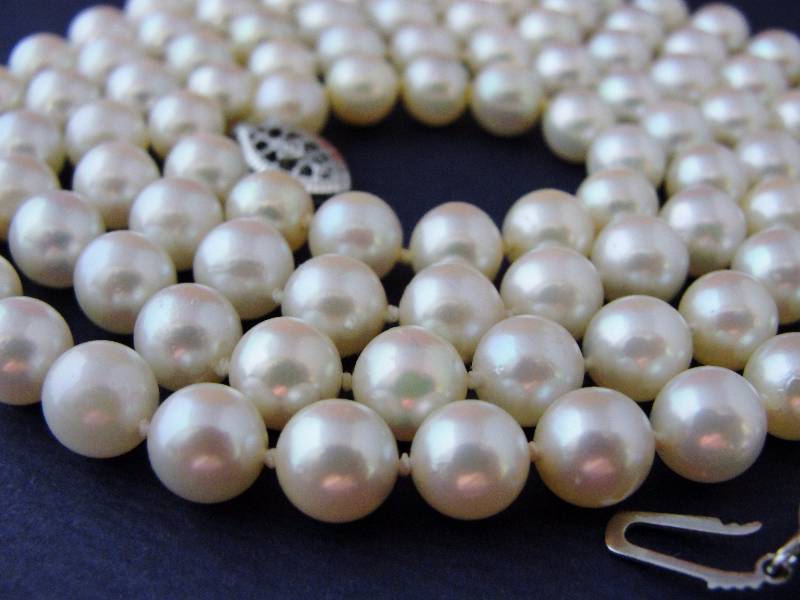 GENUINE Pearl Stand