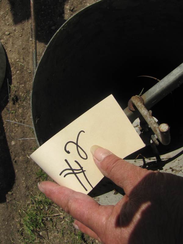 lot 12 image: Hanging Chicken Feeder #2