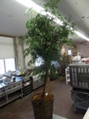 lot 83 image: Artificial Plant