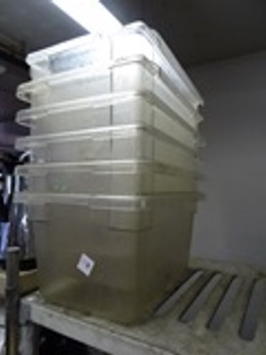 lot 271 image: Prep Pans