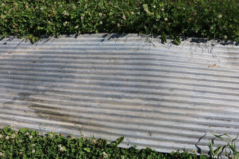 4 pieces of corrugated tin
