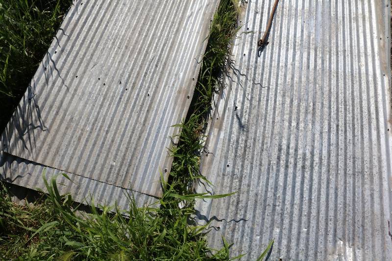 9 pieces of corrugated tin