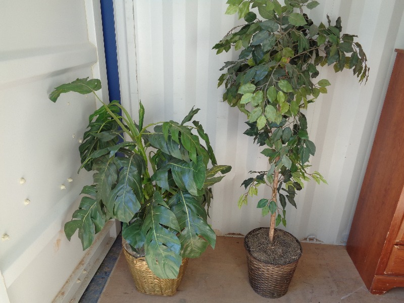 lot 133 image: 2 Artificial Plants
