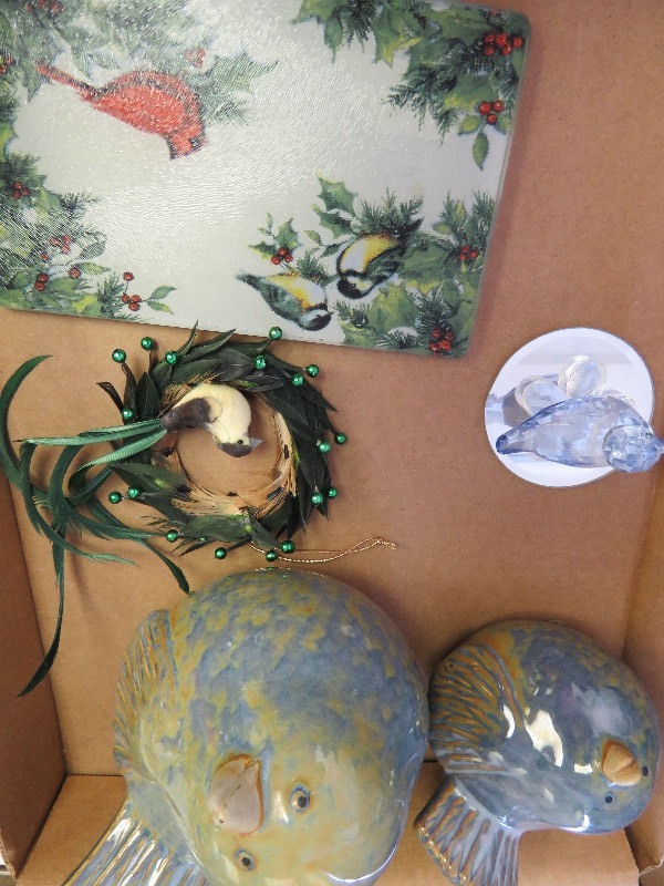 Bird lot