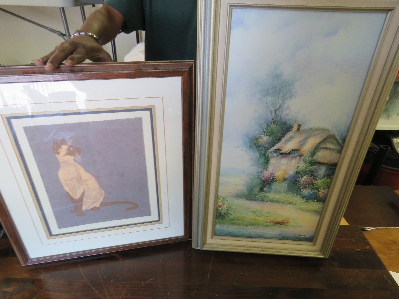 Framed pictures