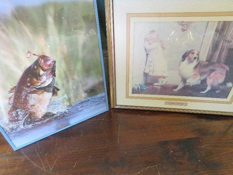 Framed pictures