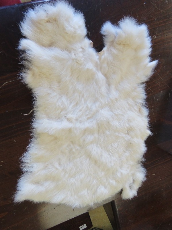 Animal Hide
