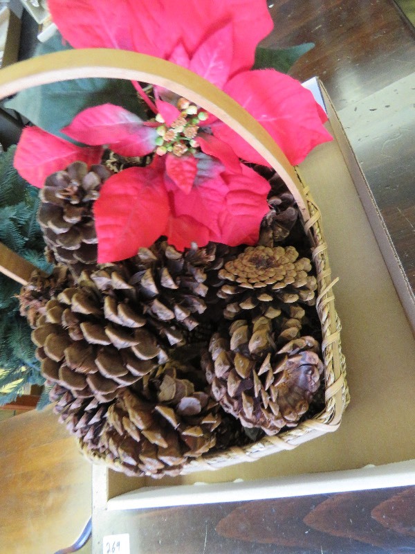Pine Cones