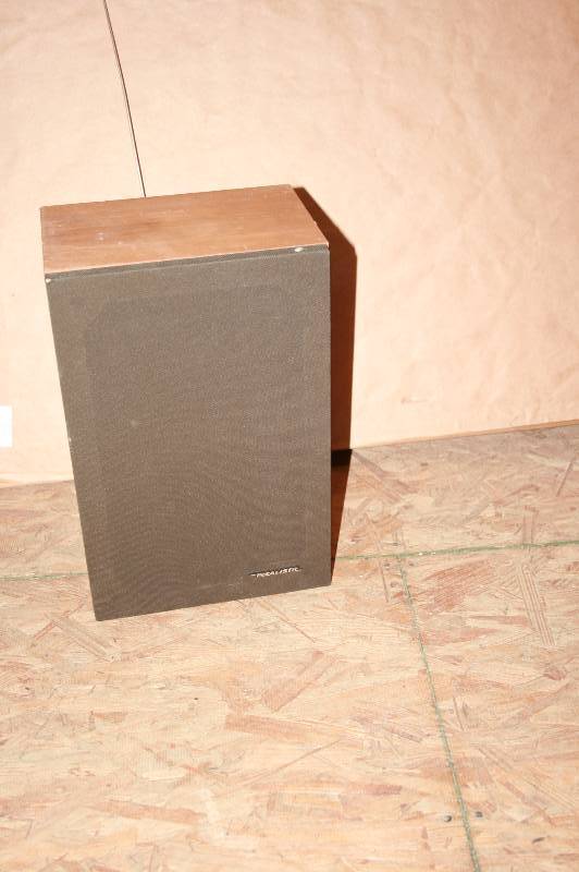 Realistic Speaker