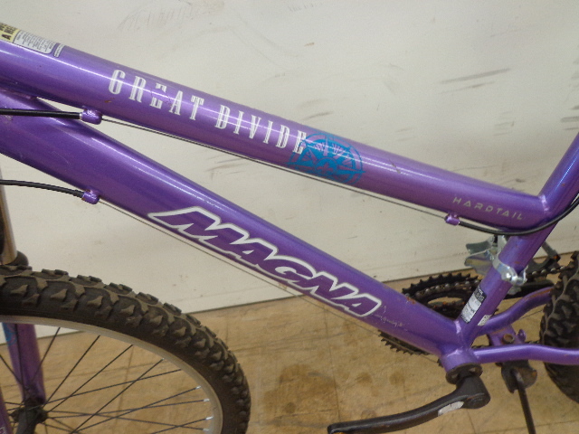 magna great divide bike purple