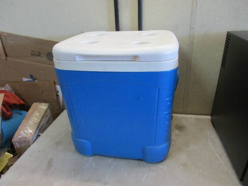 lot 56 image: Igloo cooler