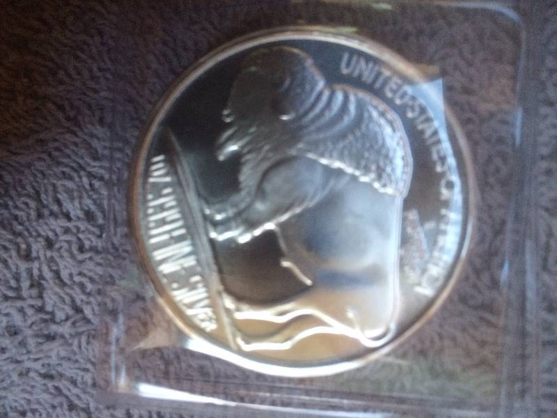 2015 Silver Dollar