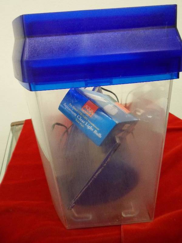 Small Aquarium