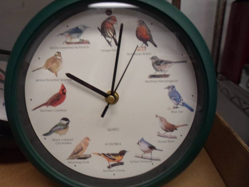 Clock Lot
