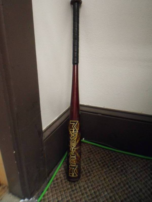 Easton Aluminum Bat