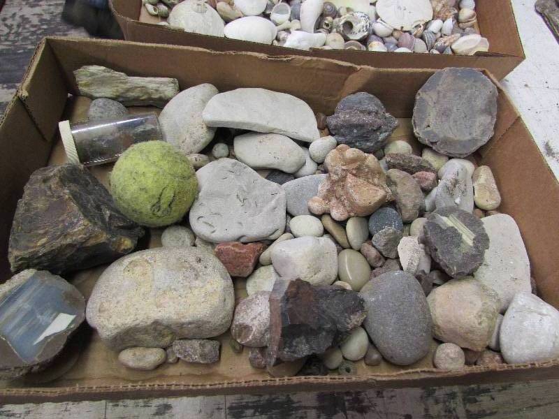 lot 6 image: Thunder eggs, petrified wood, and misc rocks