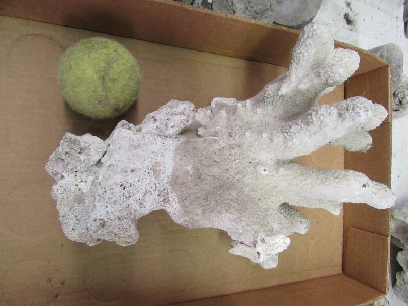 lot 9 image: Large Piece of Coral