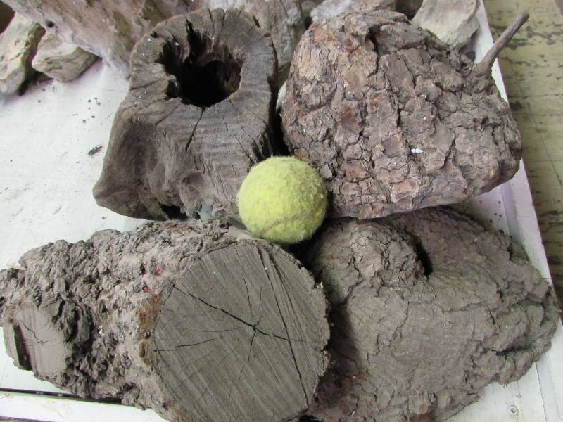 lot 13 image: Wood Burls  knots