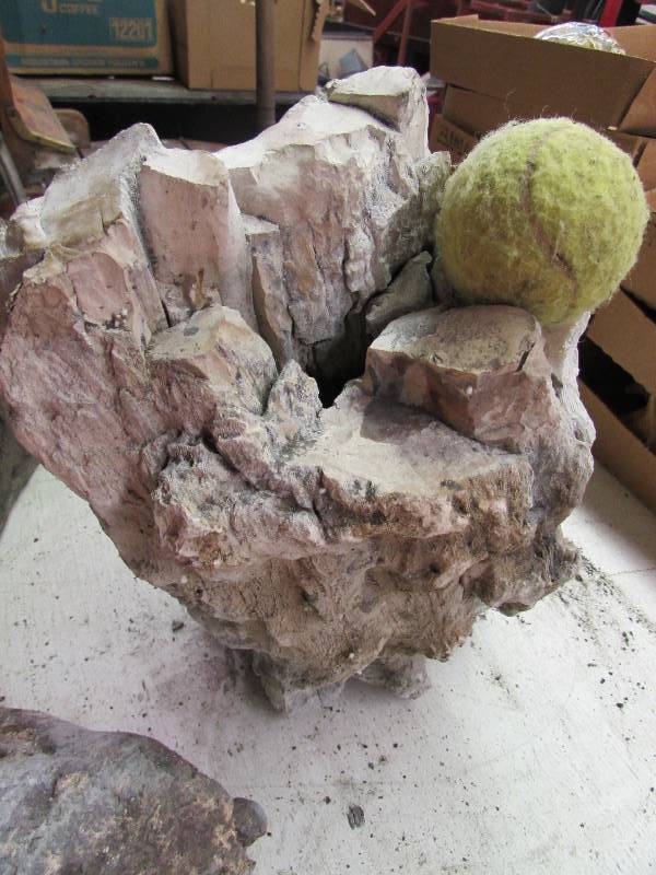 lot 14 image: Large Piece of Petrified Wood