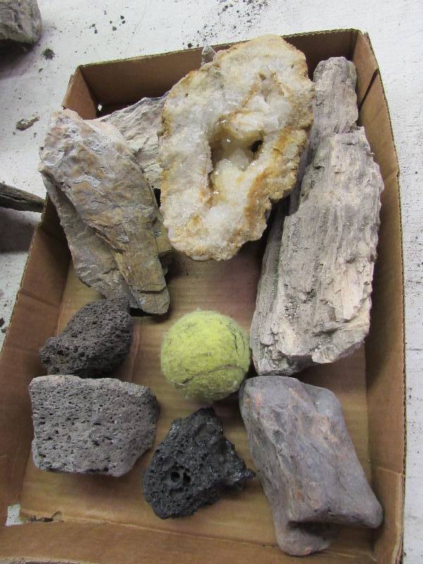 lot 15 image: Petrified Wood, Volcanic Rock and Rock with crystals