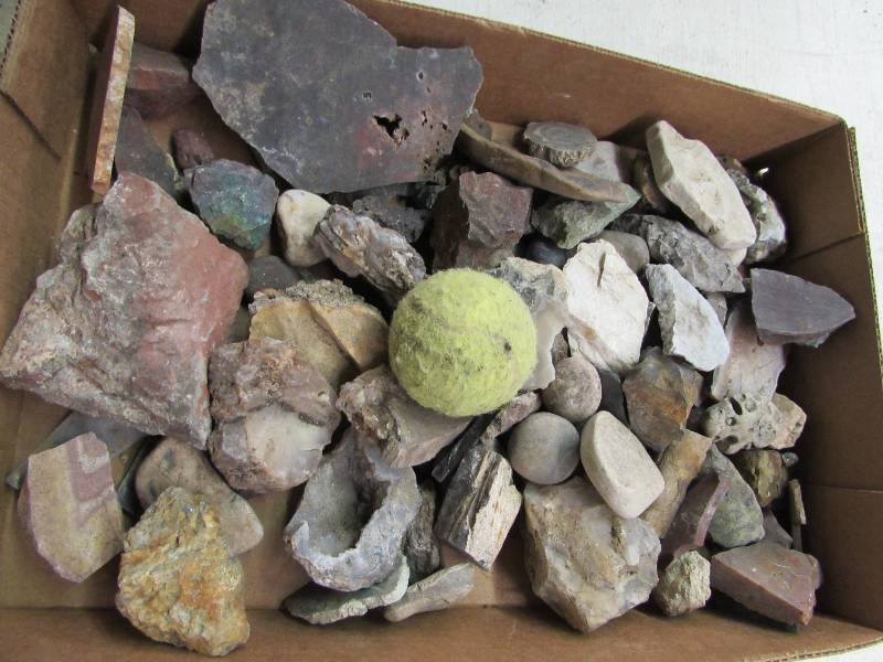 lot 23 image: Flat of Misc Rock