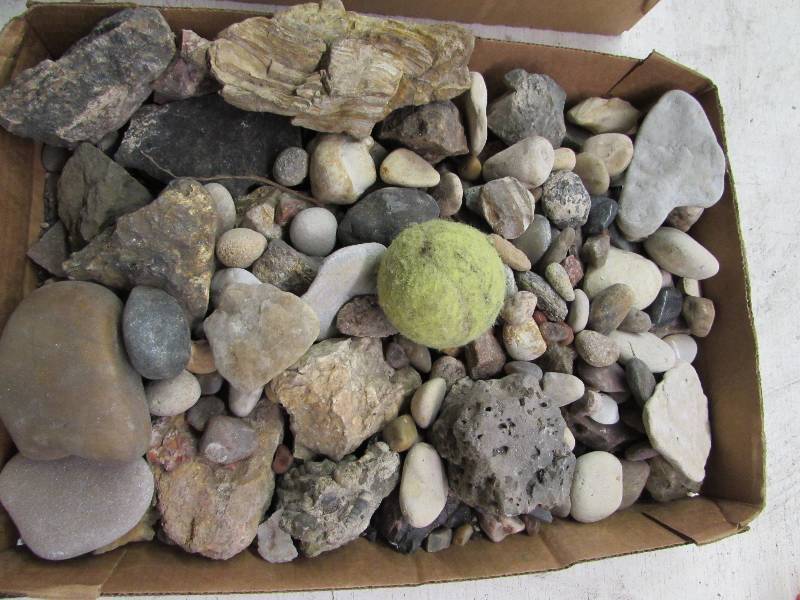 lot 26 image: Flat of Misc Rock