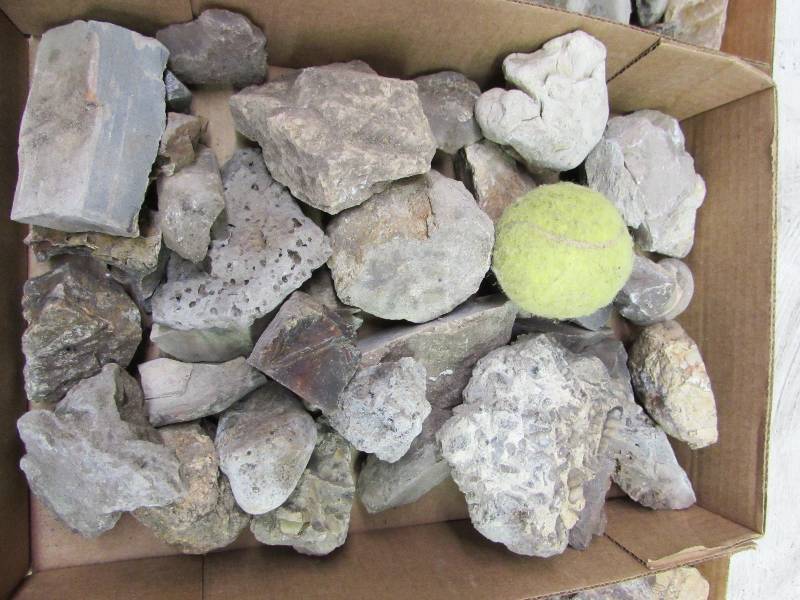 lot 27 image: Flat of Misc Rock