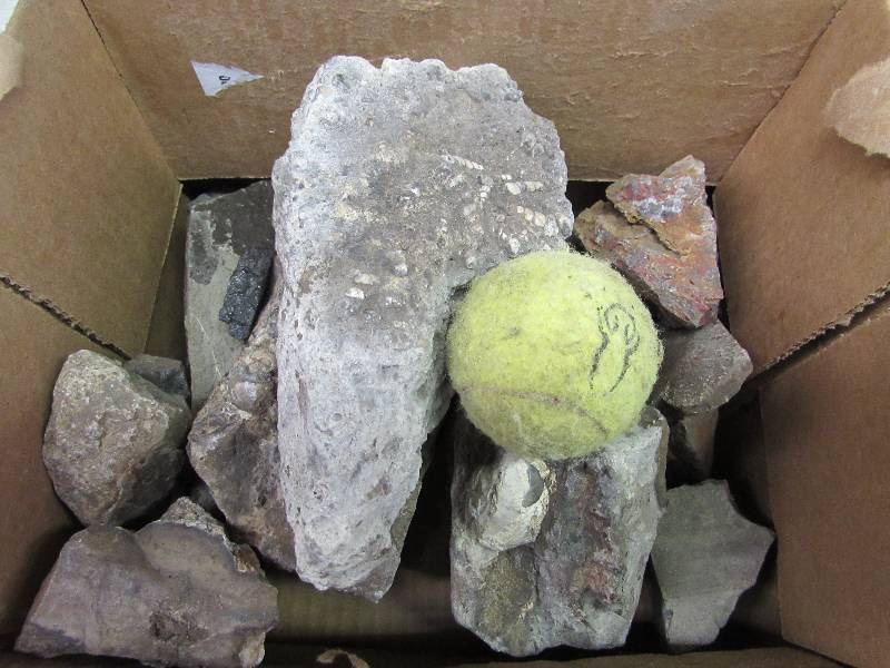 lot 30 image: Flat of Misc Rock