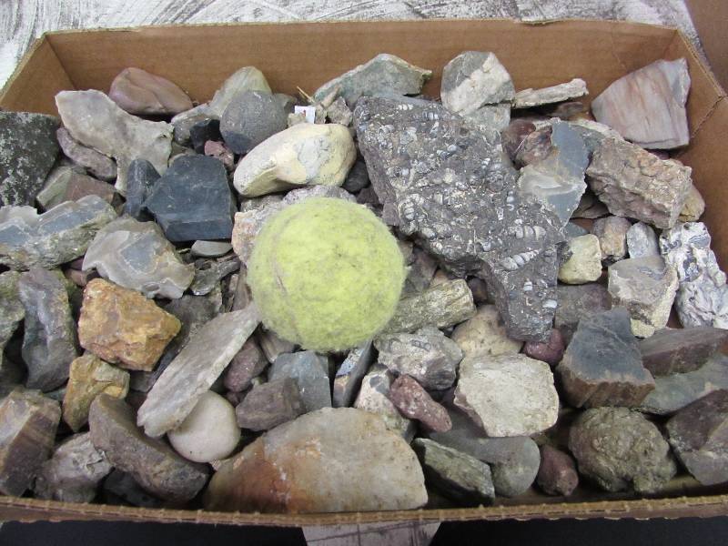 lot 34 image: Flat of Misc Rock
