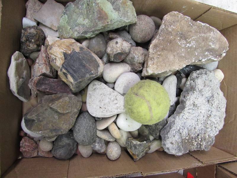 lot 35 image: Flat of Misc Rock