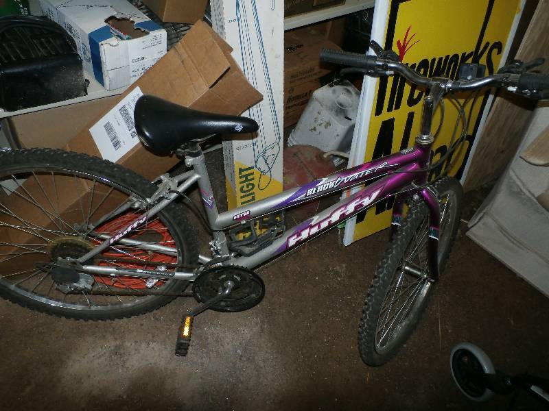 girls 15 speed mountain bike