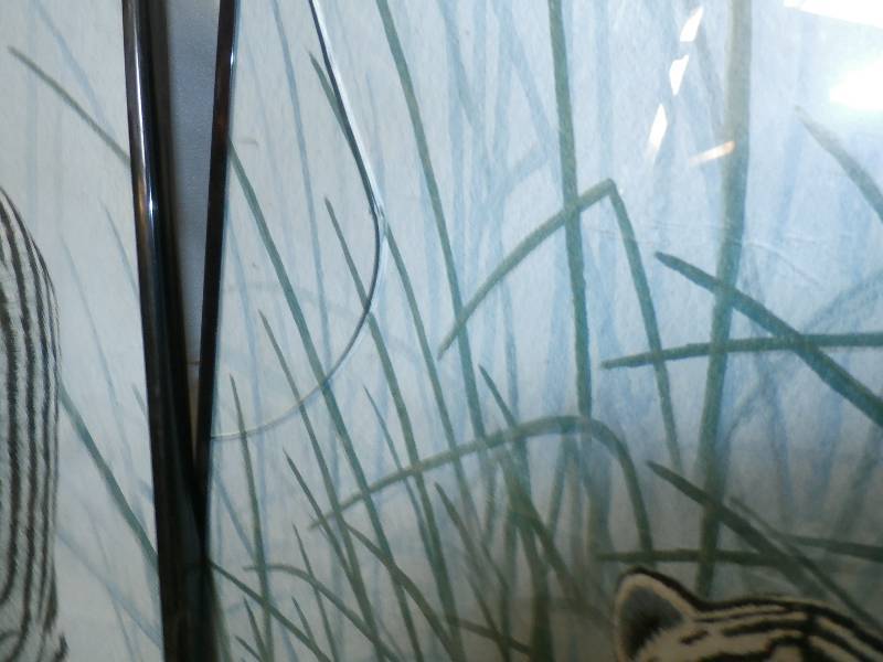 3 tiger pictures, Glass broken on bigger one.