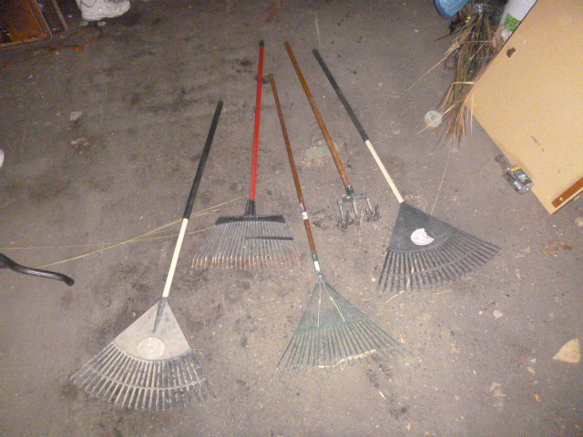 lot 16 image: 4 Lawn Rakes and Garden Weasel