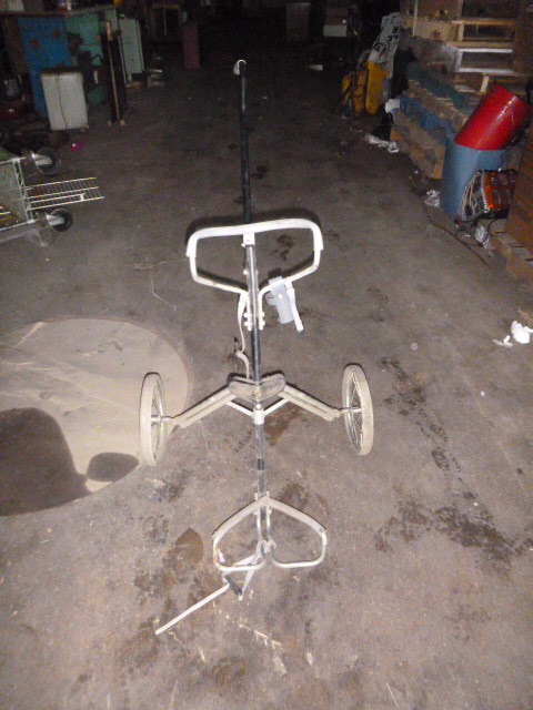 lot 37 image: Pro Classic Walking Golf Cart