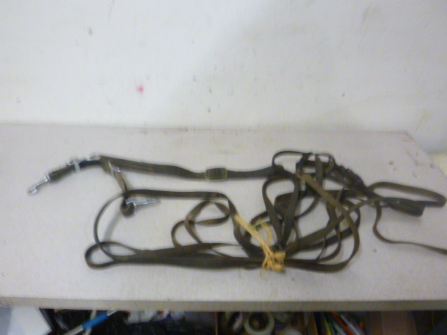lot 96 image: Horse Driving Lines