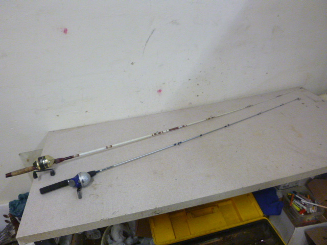 lot 177 image: 2 Rod and Reels