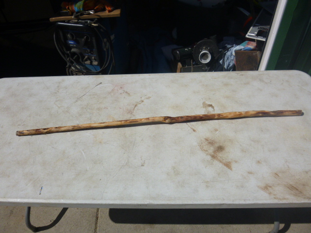 lot 302 image: Diamond Willow Walking Stick