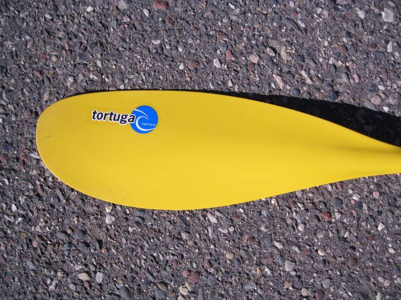lot 3691 image: Harmony Tortuga 215cm Adjustable An...