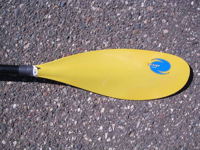 lot 3693 image: Harmony Tortuga 220cm Non-Adjustabl...