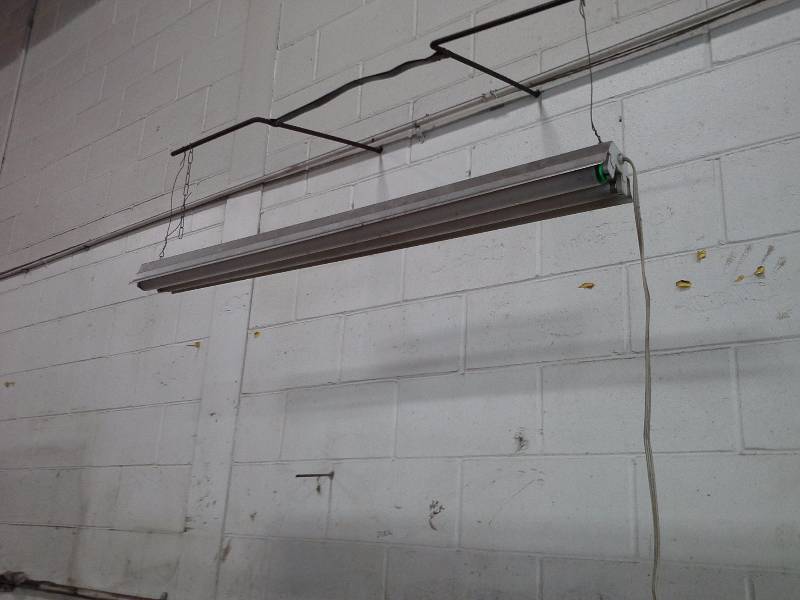 (4) Hanging Lights