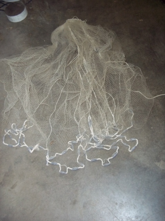 lot 25 image: Bait net with weights