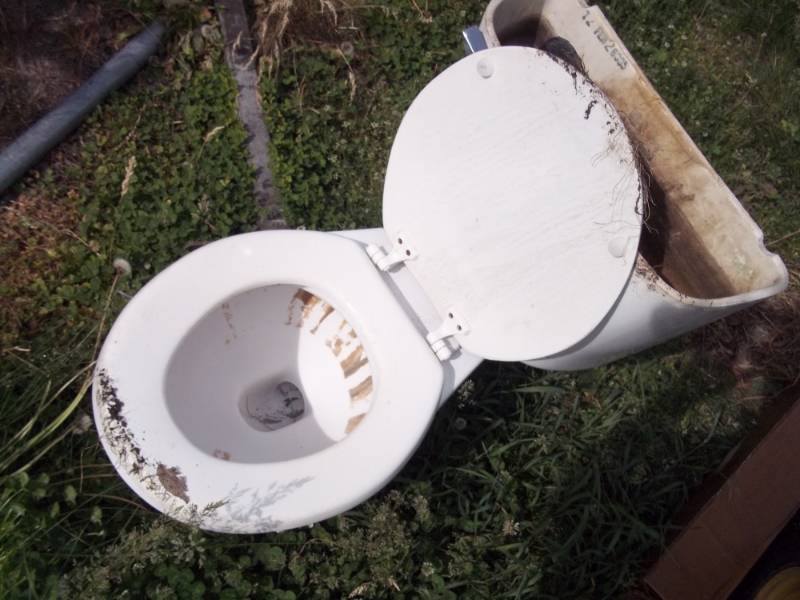 lot 98 image: Toilet need cleaning
