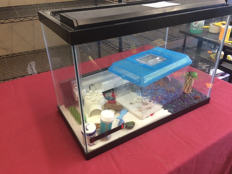 20 Gallon Glass Aquarium - Clean